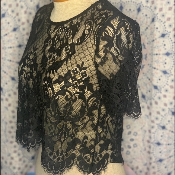 Lace Top - Picture 2 of 4